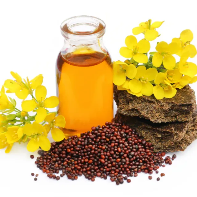 mustard oil4